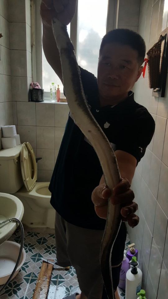 취미생활 이미지