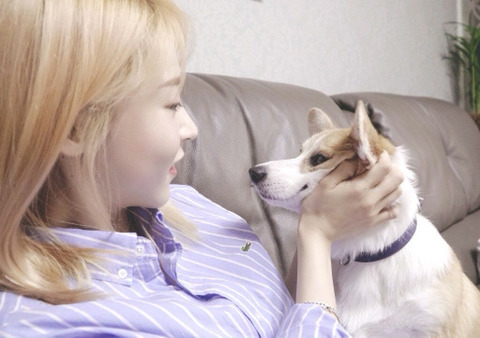 별이 이미지