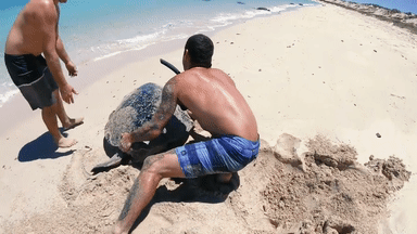 누워서 자고 있었는데 깨움.gif | 인스티즈