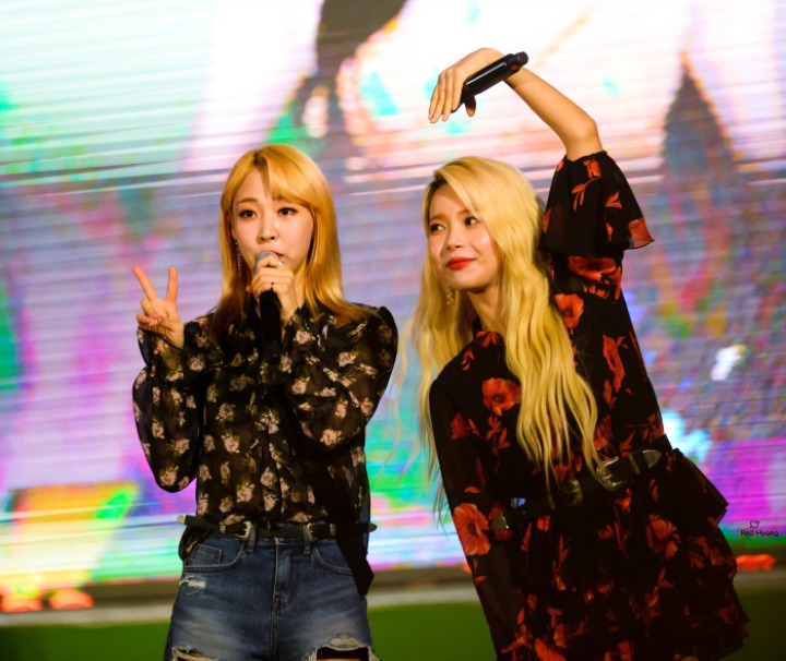 별콩 이미지