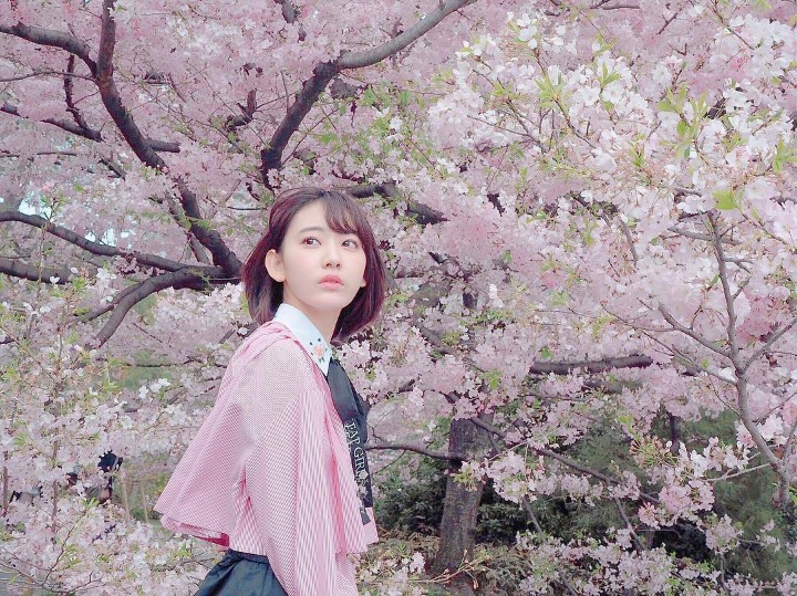 2018년 첫 미야와키 사쿠라 | 인스티즈