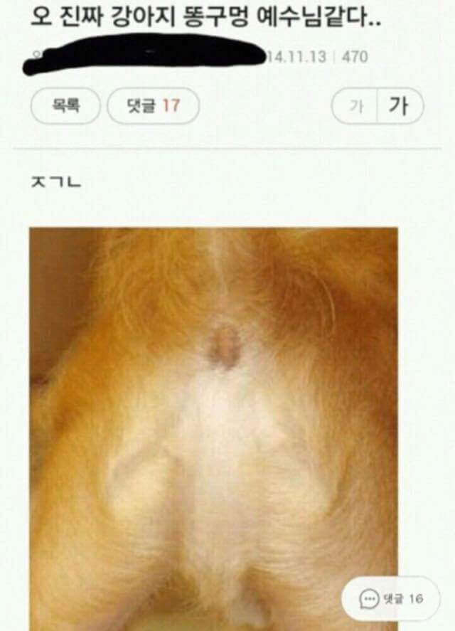 내 웃음 모음 5 | 인스티즈