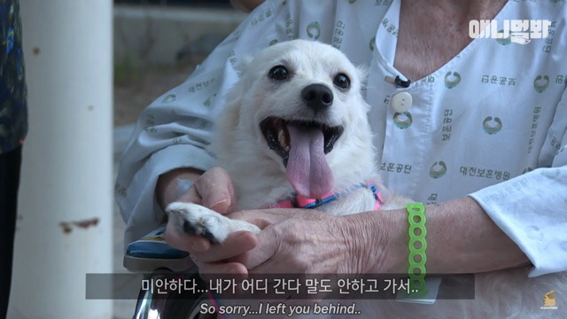 주인님이 열흘 째 문을 열어주지 않아요.. (캡쳐) | 인스티즈