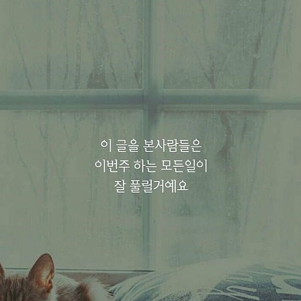 오빠 한번 더 이미지
