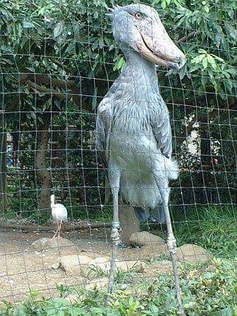 허언인줄 알았는데 허언이 아닌 이야기 모음 | 인스티즈