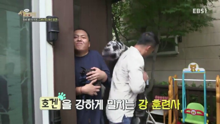 강형욱 훈련사에게 감탄한 세나개 제작진과 견주들.jpg | 인스티즈