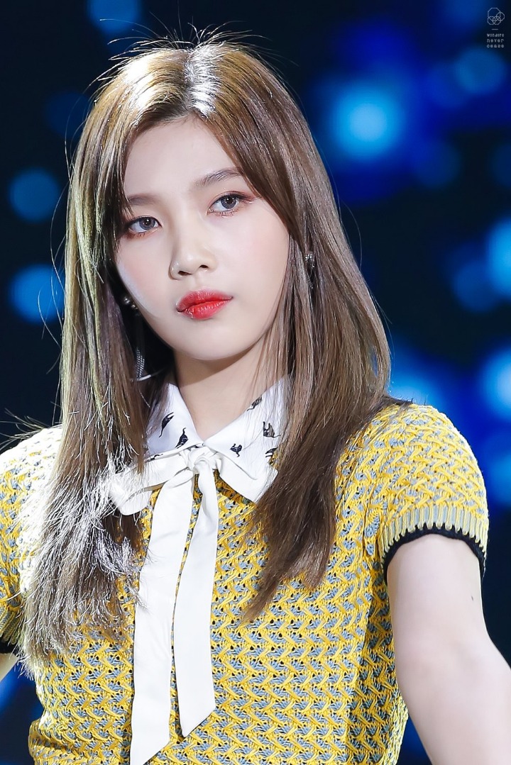 다 예쁜 레드벨벳 중 얼굴 취향은?.jpgif | 인스티즈