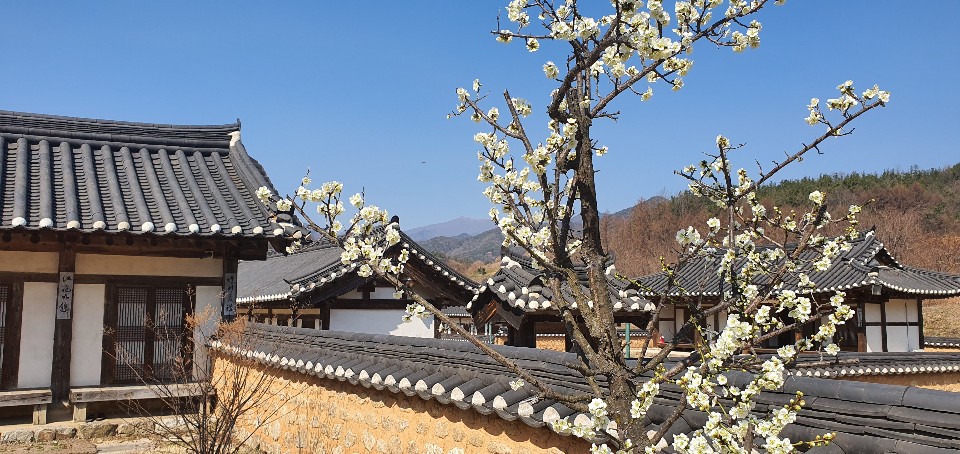 한국선비문화수련원 이미지
