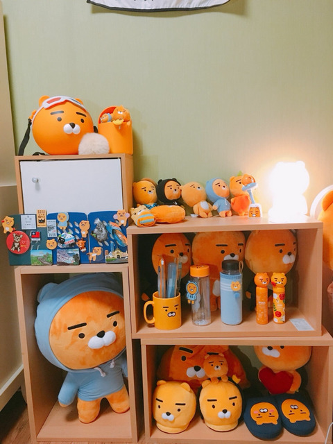 라이언 덕후의 방 | 인스티즈