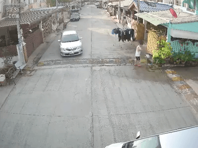 어이없는 교통사고.gif | 인스티즈