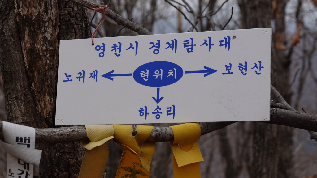 보현, 면봉산 이미지
