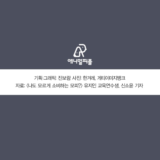 일상에 스며든 동물학대 생산품들 | 인스티즈