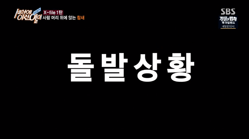 세상에 저런 이런일이 | 인스티즈