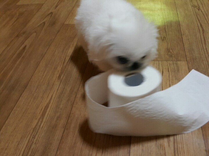 쮸쮸 이미지