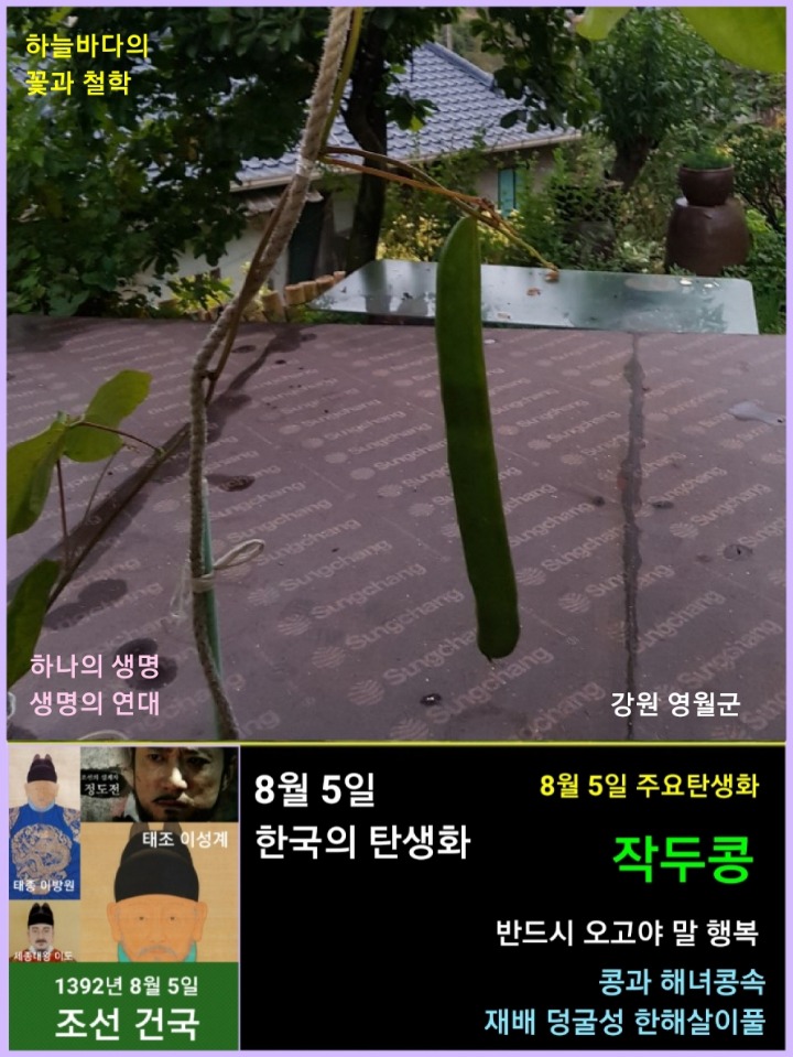 팥사랑 이미지