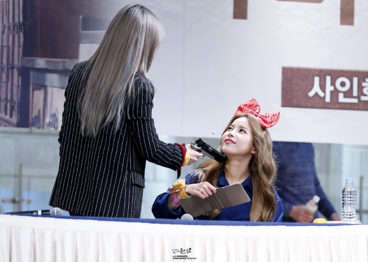 별콩 이미지