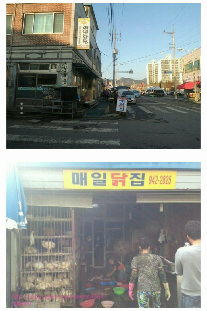 시골 통닭집 특징.JPG | 인스티즈
