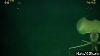 심해 오징어..gif | 인스티즈