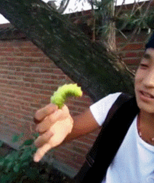 중국의 베어그릴스.gif | 인스티즈