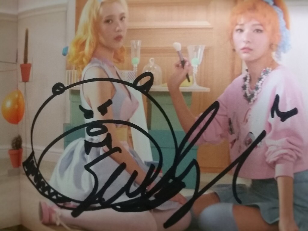 레드벨벳 슬기의 커스텀 싸인들.jpg | 인스티즈