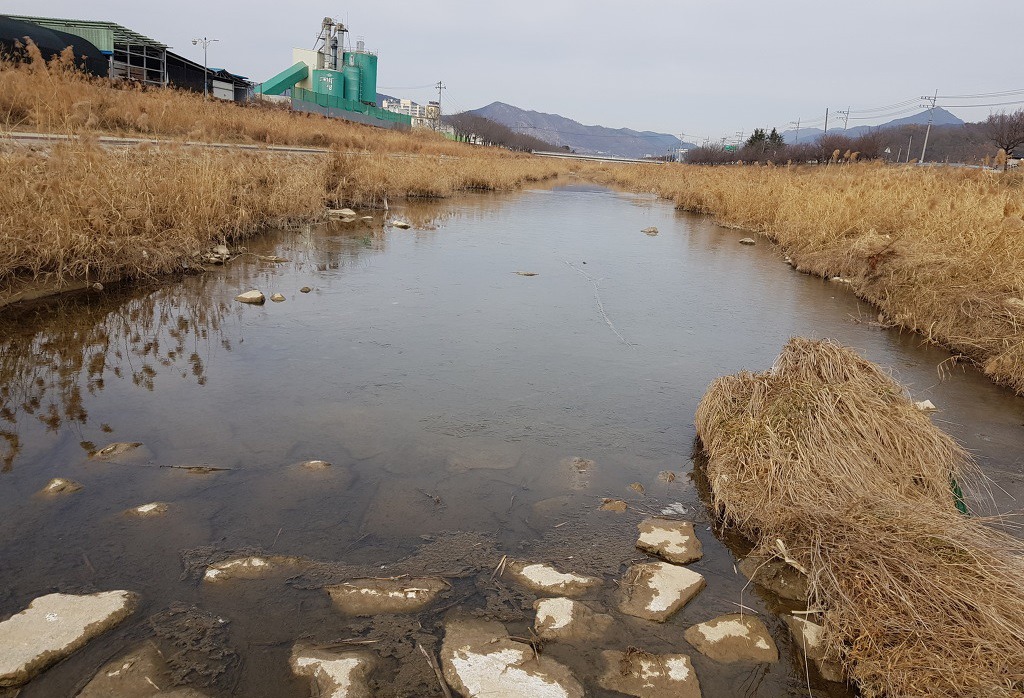 백천식당 이미지
