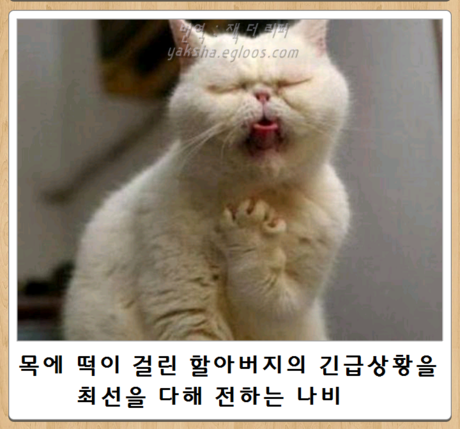 제목학원 레전드 모음 (귀여운것들 섞여잇음) | 인스티즈