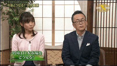 일본 방송의 고양이 | 인스티즈
