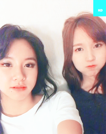 묘이하게 이쁜 묘이 미나 | 인스티즈
