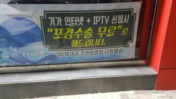 기가 인터넷 신청 시 수술 무료로 해드립니다 | 인스티즈