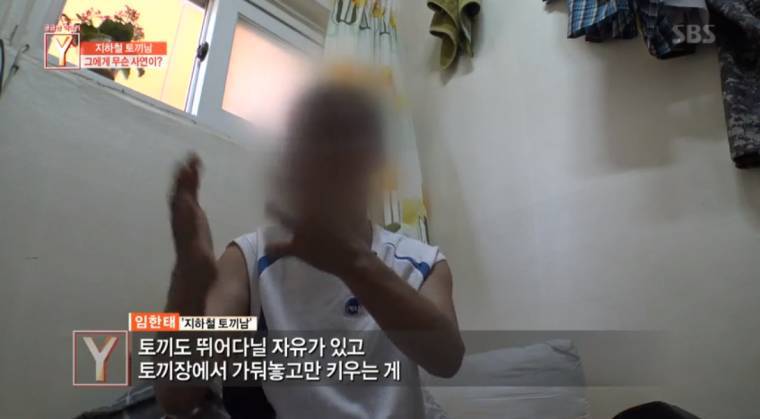 지하철 토끼남의 사연 | 인스티즈