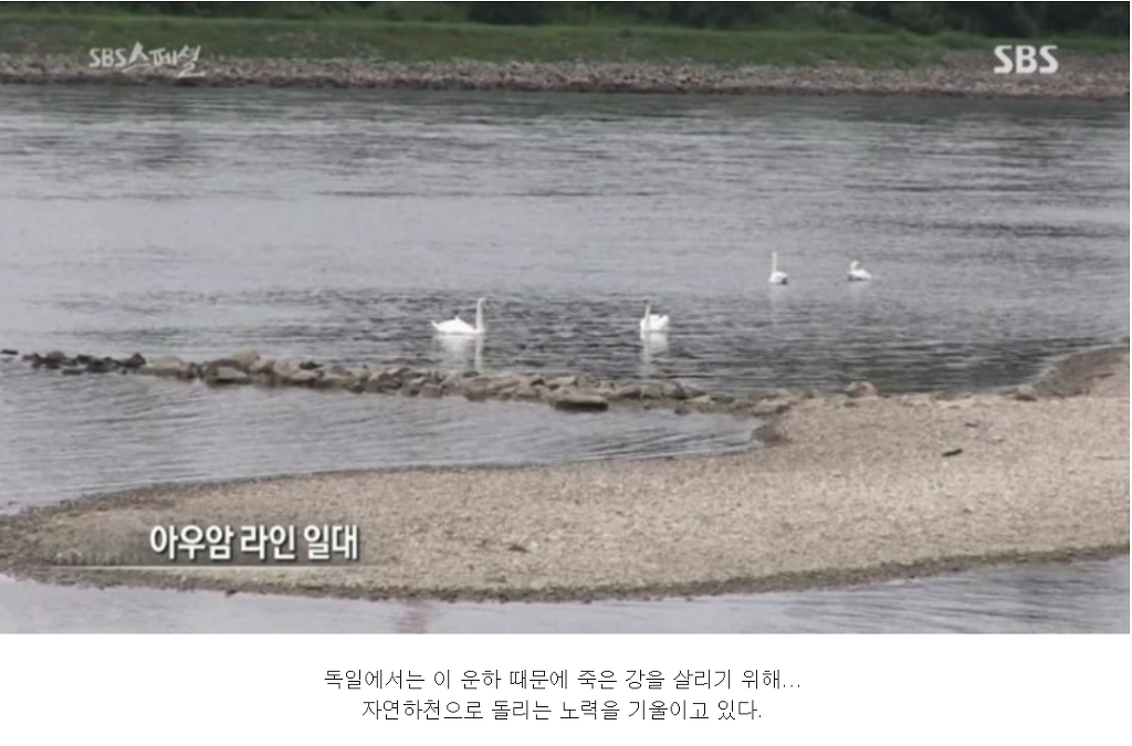 22조 들어간 4대강이 완전히 실패한 사업인이유 | 인스티즈