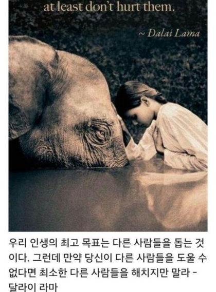자존감을 높여주는 부처의 명언들.jpg | 인스티즈