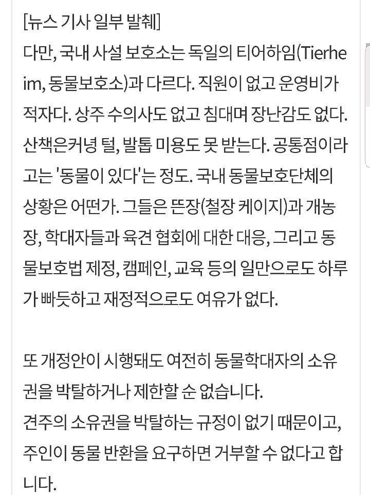 유기동물 공고 후 입양자가 없어 일정기간(10일)이 지나면 죽게 되는 동물들. 기괴 하지 않아??? 정작 유기한 사람들은 처벌 안 받으면서 | 인스티즈