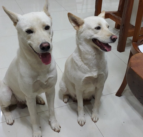 무인도에서 5년을 버티자. 가져갈수있는물건 3개 | 인스티즈