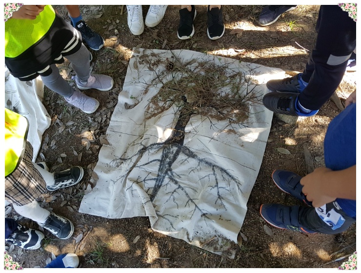 용산초등학교 이미지