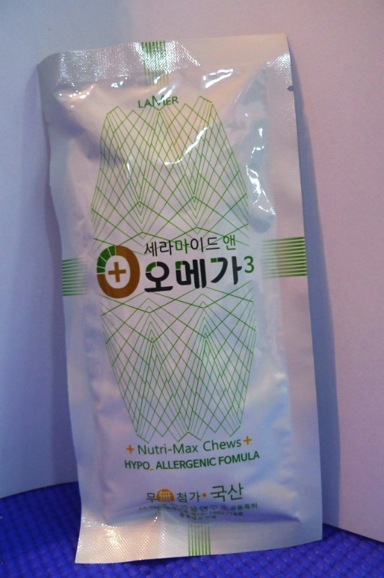복동이 이미지