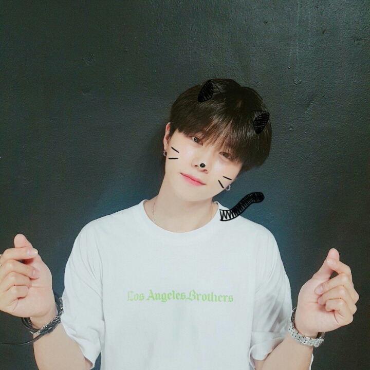 지안 이미지