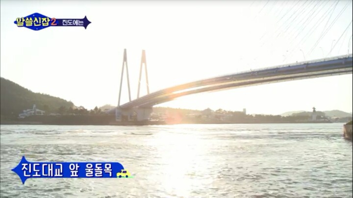 알쓸신잡) 진도의 관광지 + 진도를 유시민이 추천하는 이유 (댕댕이 주의) | 인스티즈