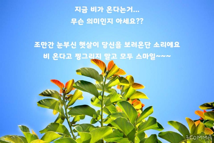 무제 이미지
