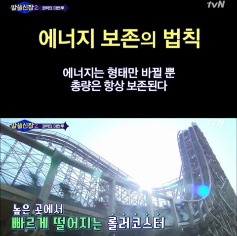 [알쓸신잡2] 진시황과 파라오가 싸우면 누가 이길까? (이과는 왜 긇애...?) | 인스티즈