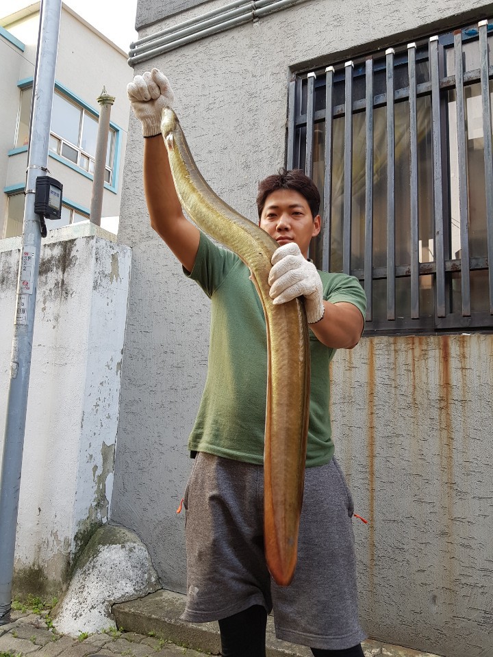 오바2 이미지
