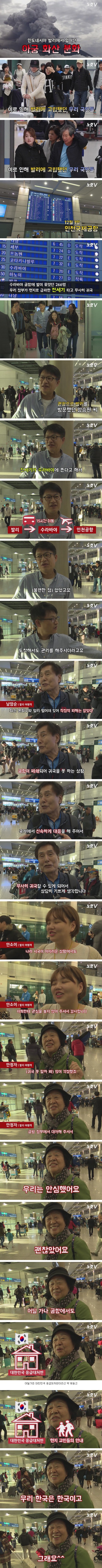 전세기로 발리 탈출해 입국한 시민들 인터뷰.JPG | 인스티즈