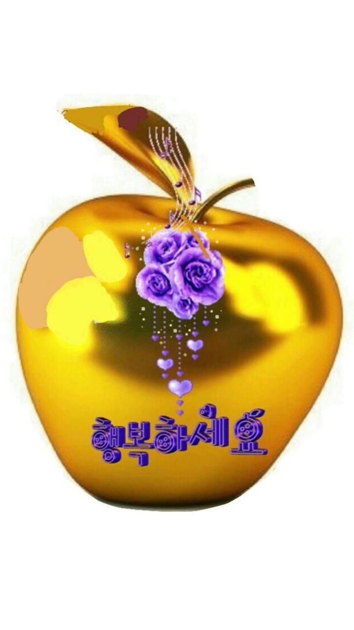 노래세상 이미지