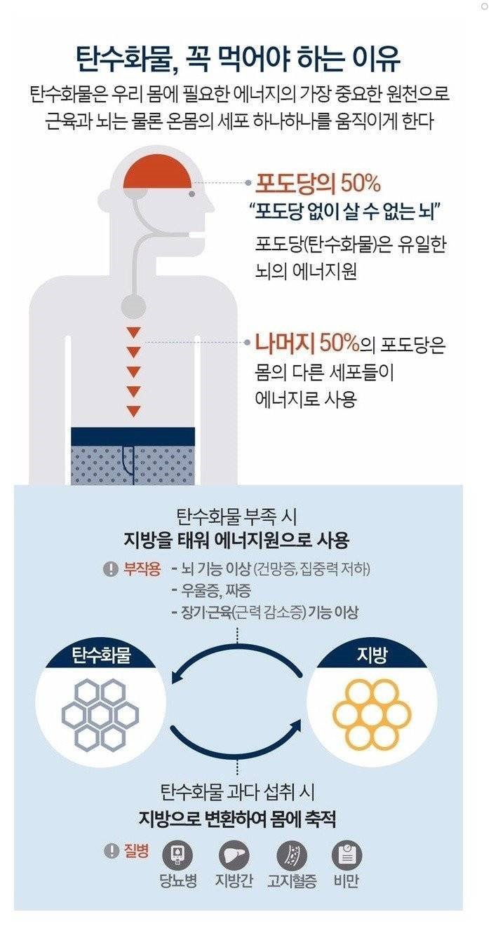 반드시 필요하지만 과하면 안되는 탄수화물의 모든 것 | 인스티즈