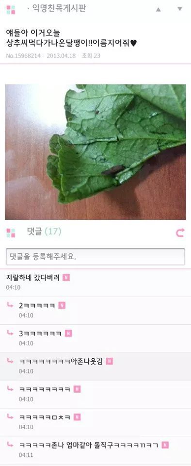 상추먹다가 나온 달팽이 이름 지어줘 | 인스티즈