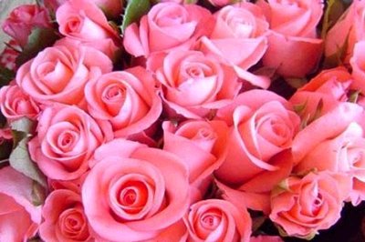 RoseDay 이미지